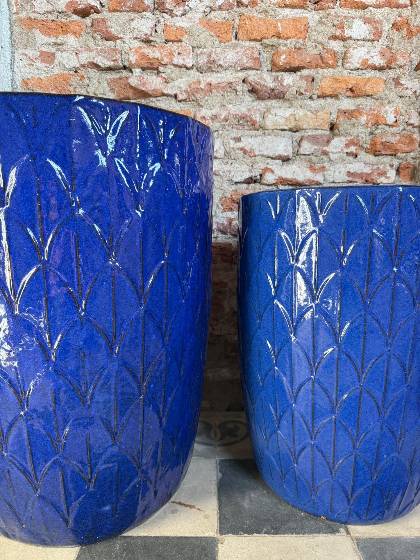 Palmira Azul