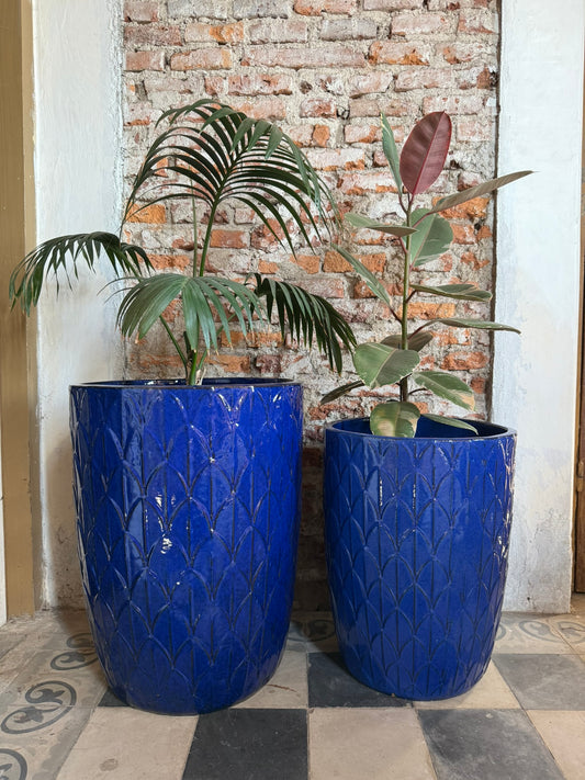Palmira Azul