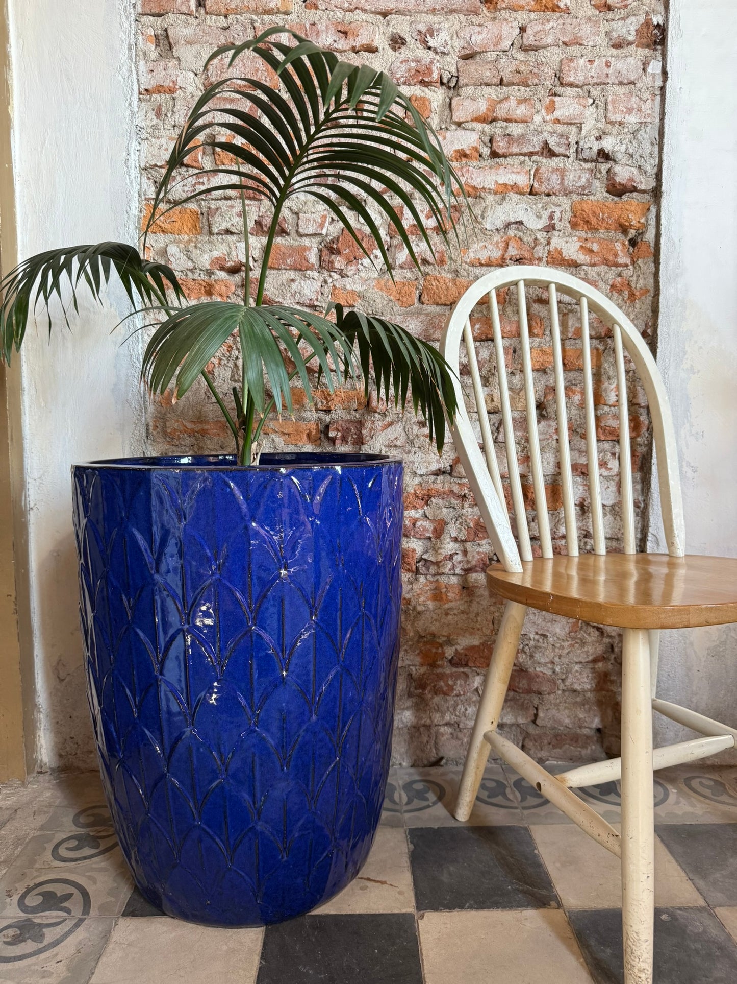 Palmira Azul