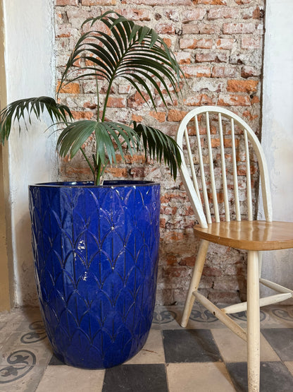 Palmira Azul