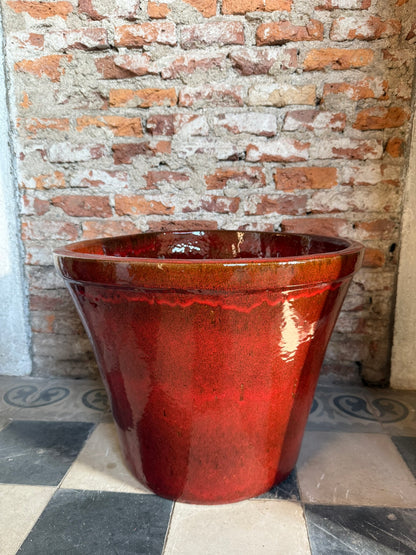 Bostrice roja