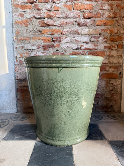 Campanilla Verde Seco