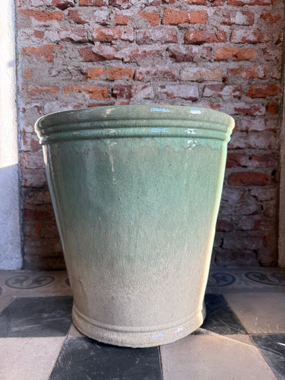 Campanilla Degrade Verde