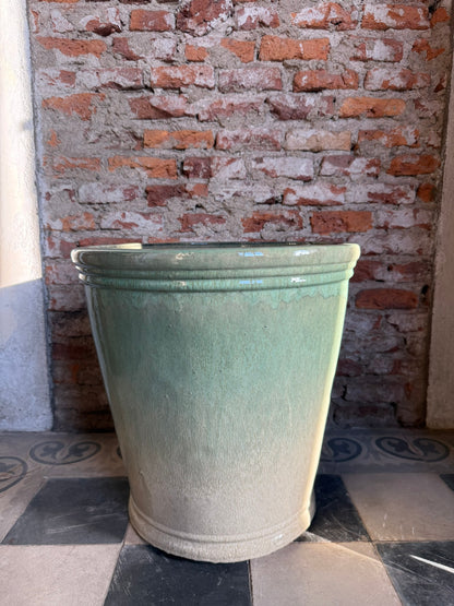Campanilla Degrade Verde