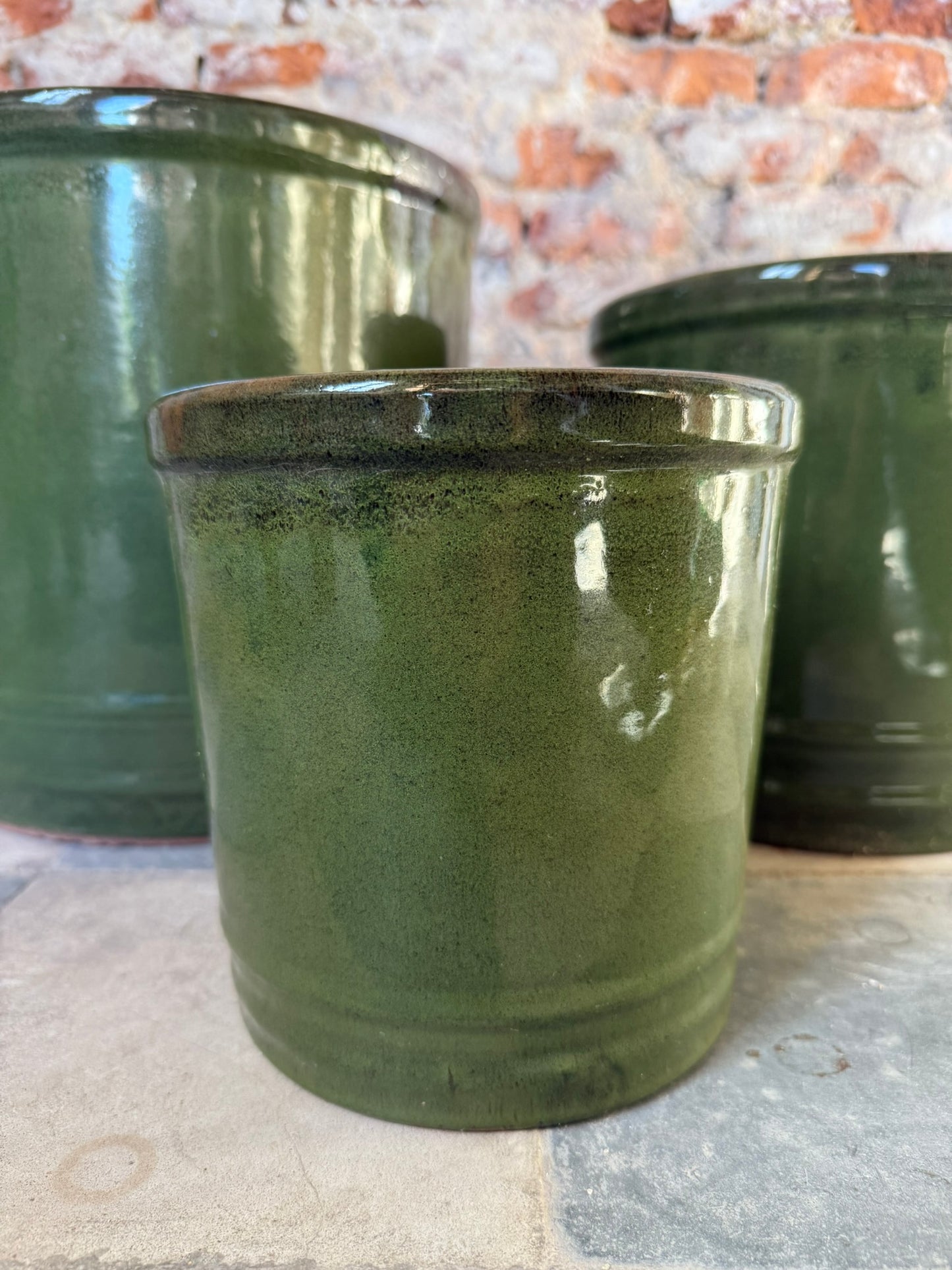 Lily Verde