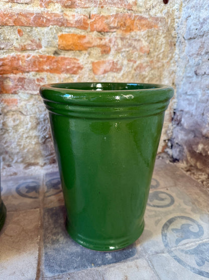 Campanilla Verde