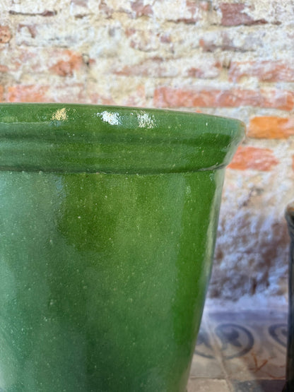 Campanilla Verde