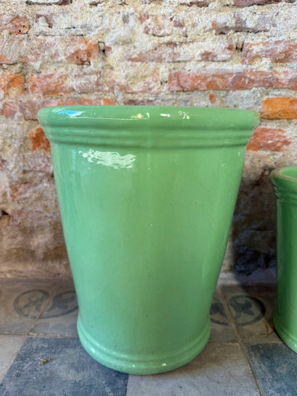 Campanilla Verde Pastel