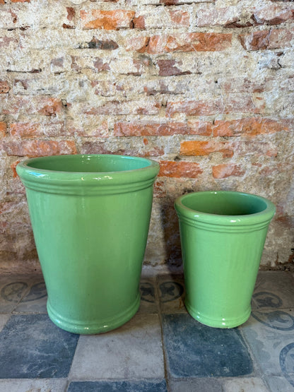 Campanilla Verde Pastel
