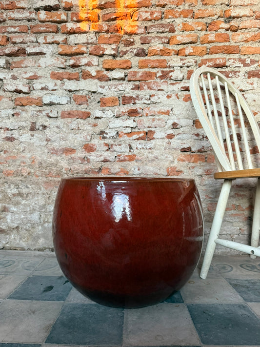 Lavinia Rojo