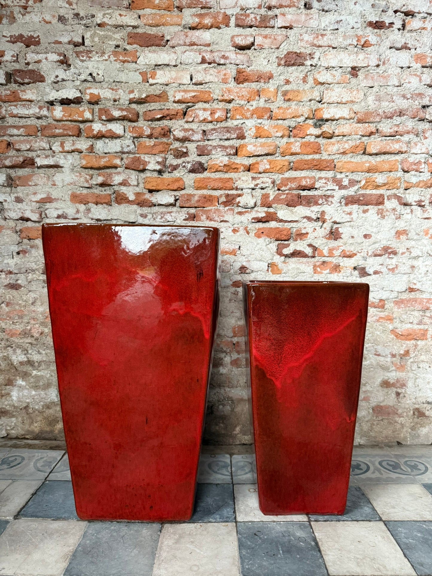 Corimbo Rojo