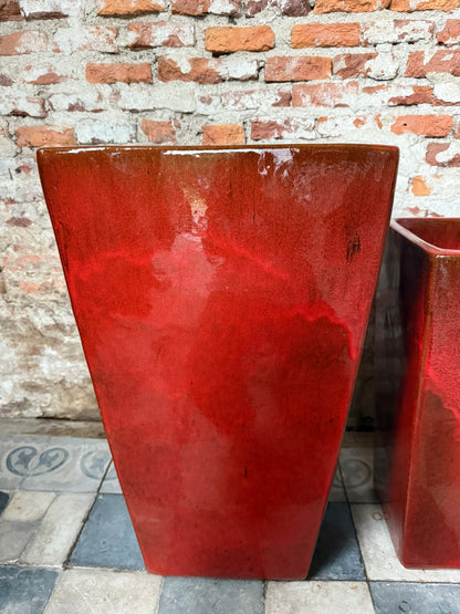 Corimbo Rojo