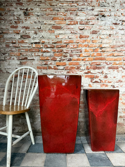 Corimbo Rojo