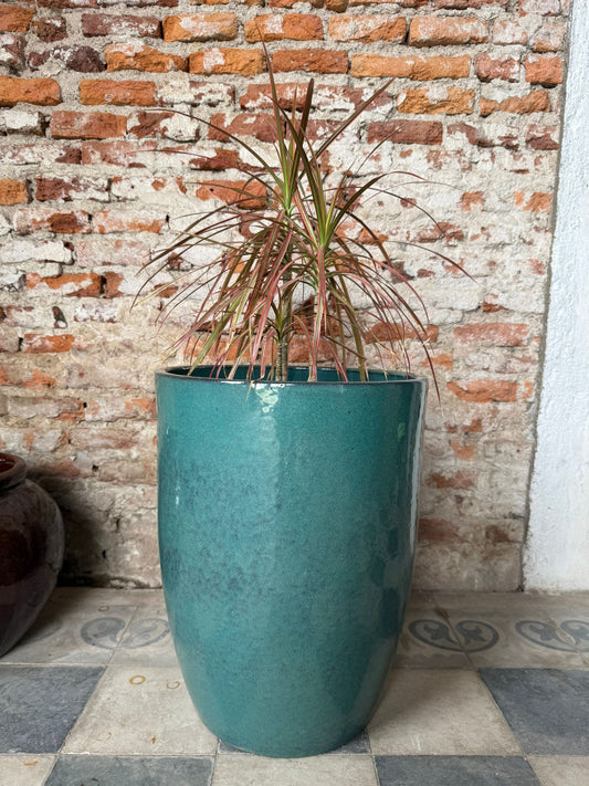 Regalía Turquesa Jade