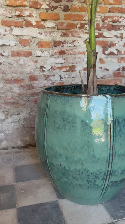Bórea verde jade